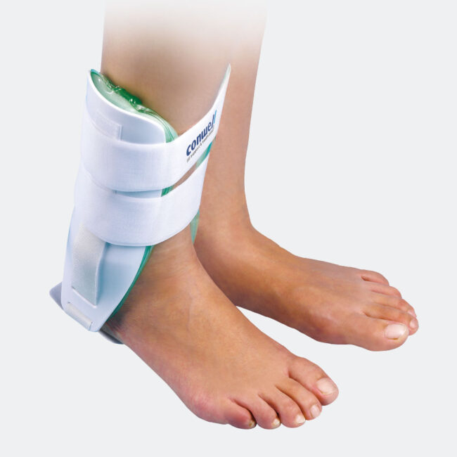 Cavigliera bivalva anatomica